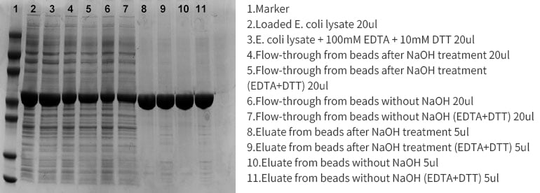 Ni-TED磁珠耐受NaOH处理的对比实验