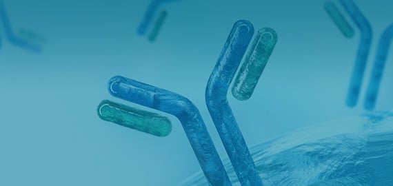 THE Elite Antibodies