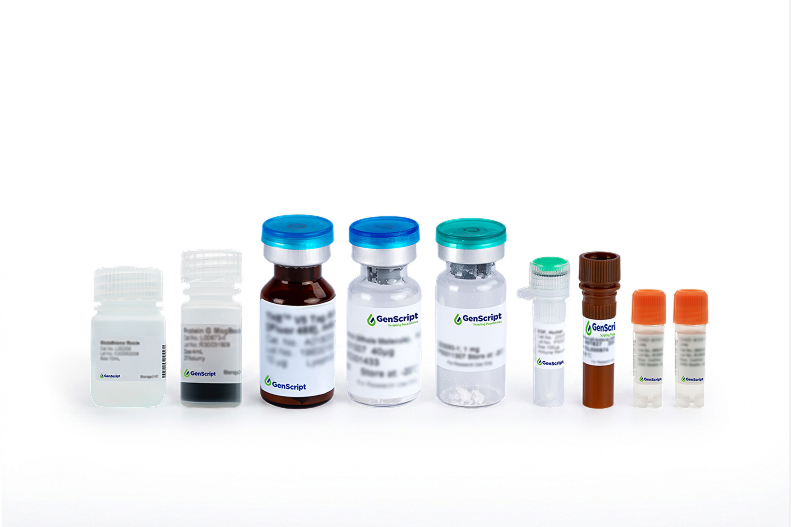 Target Proteins