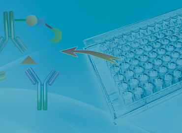 Protein A ELISA Kit