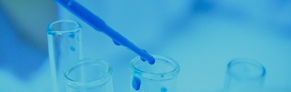 Protein Isolation and Purification