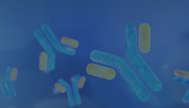 Antibody Purification