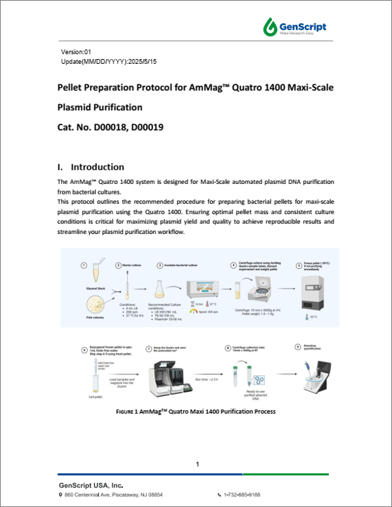 GenScript’s AmMag™ Quatro Flyer