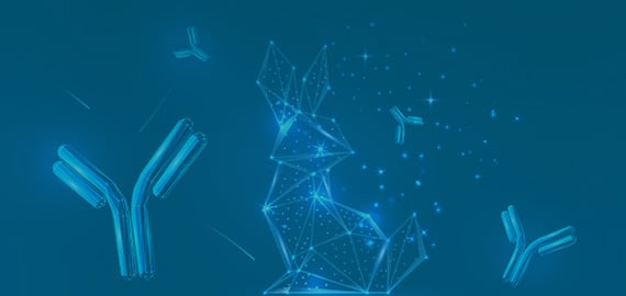 Rabbit Monoclonal Antibodies