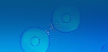 Cytokines