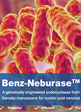 Benz-Neburase™ S. marcescens Nuclease Handbook
