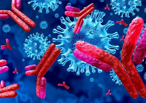 Secondary Antibodies