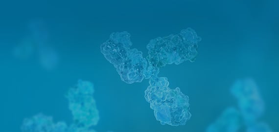 Secondary
				Antibodies