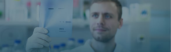 Protein Electrophoresis and Blotting