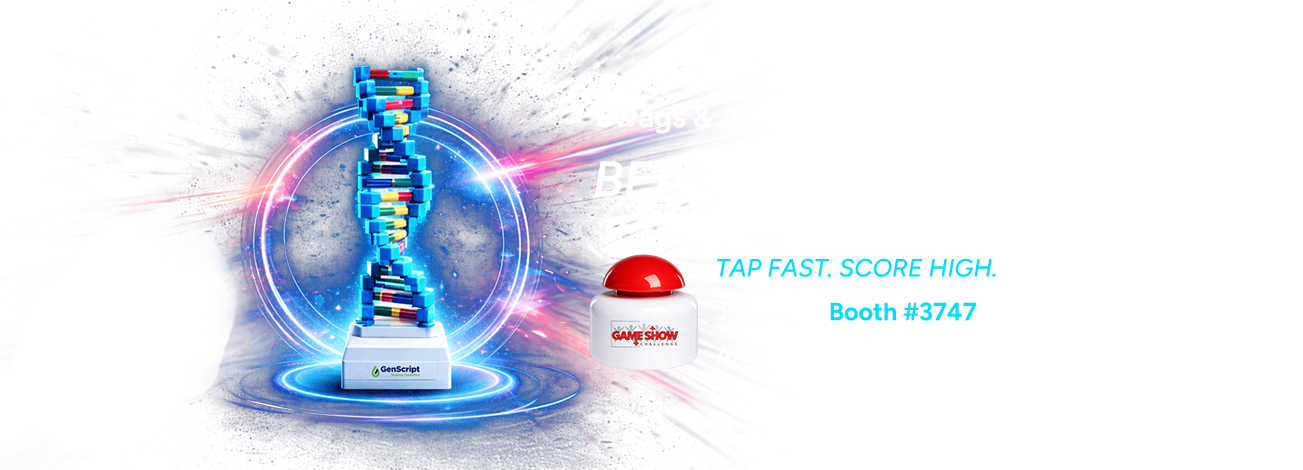 Swags & Activitiese