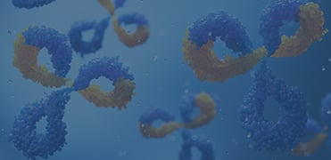 MonoRab™ Anti-VHH Affinity Magnetic Beads