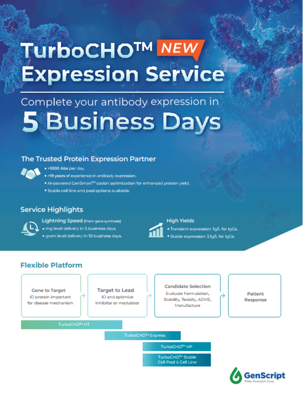 flyer