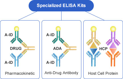 Custom Elisa Kit Generation