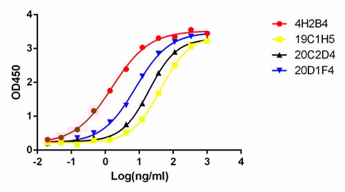 N-protein IgM mAbs are high affinity, with EC50 range between 12 – 37 ng/ml.