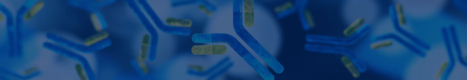 AmMag SA Plus Protein and Antibody Purification System