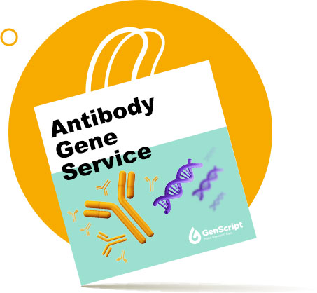 Antibody Gene Service