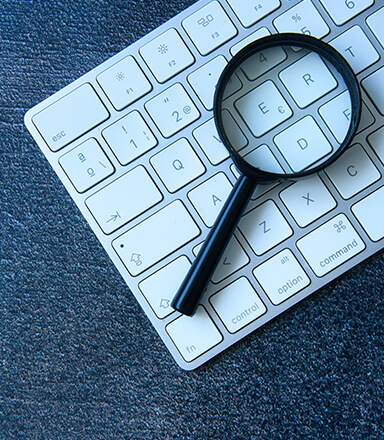 Report Fraud and Corruption