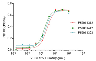 VEGF A165