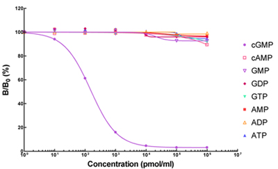 cAMP Antibody, cGMP Antibody cAMP Antibody, cGMP Antibody