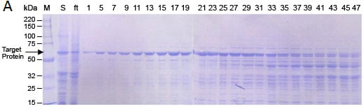 Biological Activity Proteins