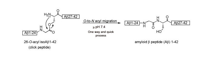 Scheme 2: β-amyloid (1-42) click peptide