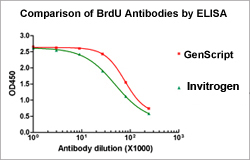 THE Elite Antibody THE Elite Antibody