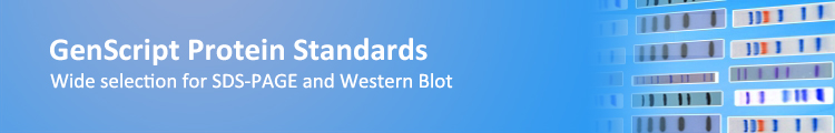 protein standards