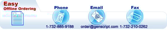 offline order flow offline order flow