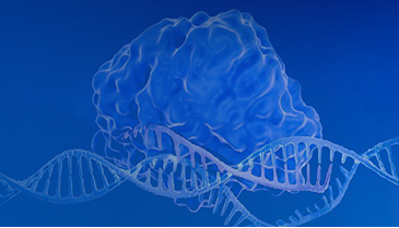 GenCRISPR Services