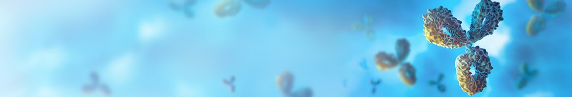 Antibody Engineering & Therapeutics 2024