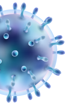 bg cell1