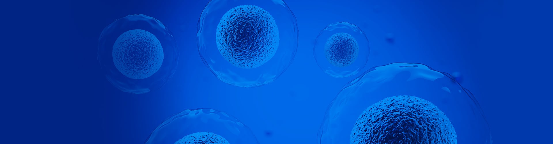 ASGCT Annual Meeting 2025