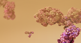 Antibody Drug Discovery