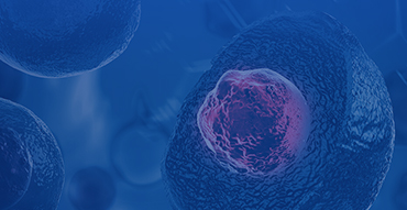  Cell Therapy Solutions | CART