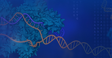 CRISPR Gene Editing