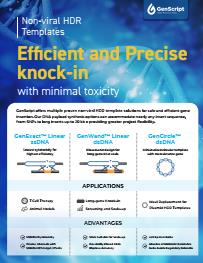 CRISPR HDR Templates