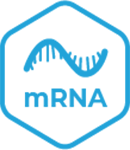 mRNA