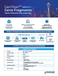 Molecular Biology Gene Fragments