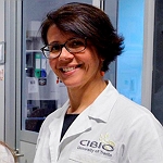 Anna Cereseto