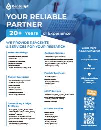 GenScript Full Services Flyer