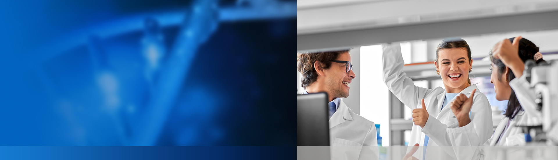 GenScript’s 2024 iGEM Gene Fragment Giveaway