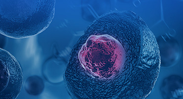Cell Therapy Solutions | GenScript