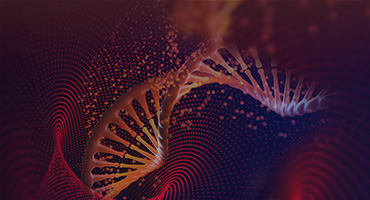 Gene Therapy Solutions | GenScript