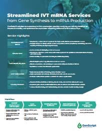 IVT RNA Service Overview 