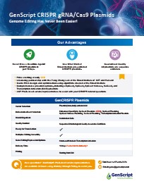 GenScript CRISPR gRNA Plasmids