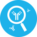 Antibody Drug Discovery