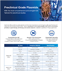 Preclinical Grade Plasmid
