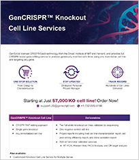 Knockout Cell Line Service