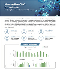 Transient CHO Expression
