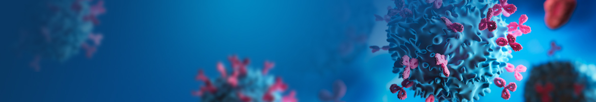 Sapa Gp 2024 Annual Conference